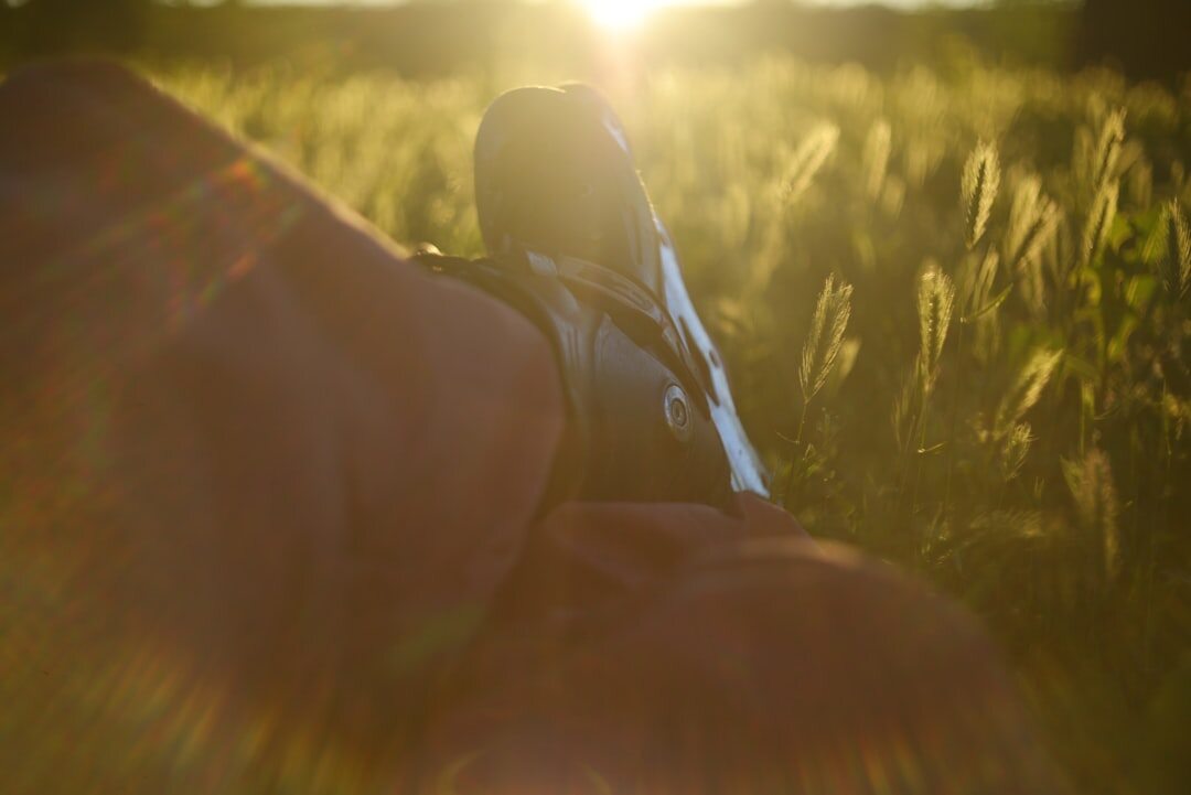 professional video camera in summer light